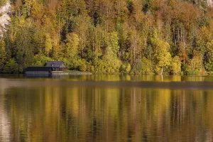 Lake Almsee in autumn with a forest reflected in the lake
