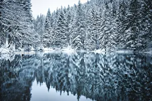 Lake in coniferous forest with snow