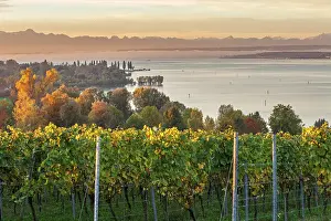 Lake Constance with an Alpine panorama at sunrise