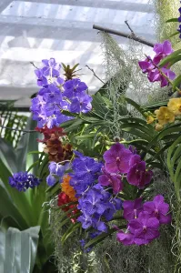 On Lake Constance, Mainau Island