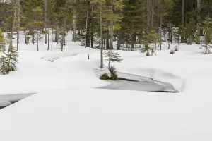 Lake Grosser Arbersee in late winter