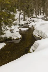 Lake Grosser Arbersee in late winter