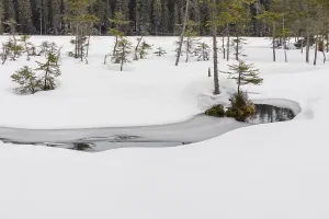 Lake Grosser Arbersee in late winter