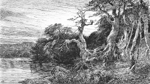 Lake Hertha near Sassnitz on Ruegen