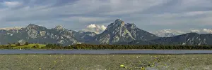 Lake Hopfensee, lakeshore with numerous water lilies