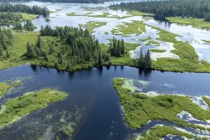 Lake and islands with vegetation
