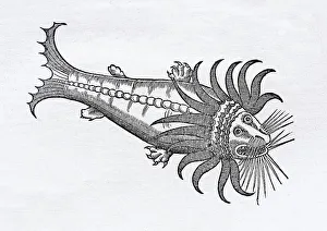 Lake Monster, woodcut by Conrad Gessner