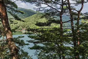 Lake and mountainside framed by foreground evergreen trees