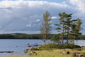 Category Scandinavia Prints: Lake Skaervsjoe, Asenhoega, Gnosjoe