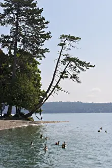 Lake Starnberger See in Tutzing - Upper Bavaria