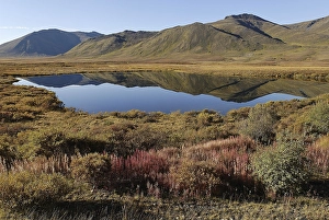 Category Mountain Landscapes Prints: Lake in Tombstone Territorial Park