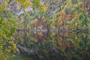 Lake Toplitz, forest in full autumn colors