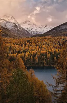 Lake and trees in autumn colors in front of mountains