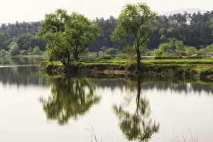 Lake view with the reflections of the mountains and trees in Gangneung