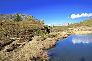 Lakeside meadow with autumn plants under bright blue sky