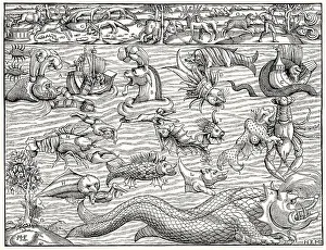 Land and sea monsters, based on Sebastian Munster's Comograhia uiversalis from 1550
