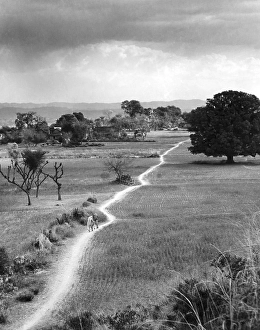 Lands cape with foot path in village, India 1940's