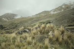 Landscape in the Andean highlands