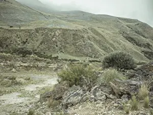 Landscape in the Andean highlands