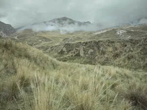 Landscape in the Andean highlands
