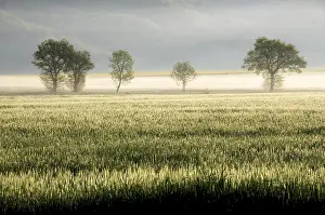 Landscape in autumn mist in Auvergne