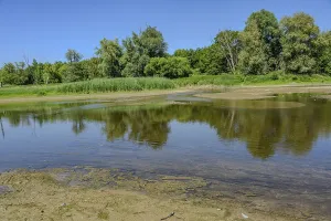 Landscape with a calm river and dense greenery under a blue sky