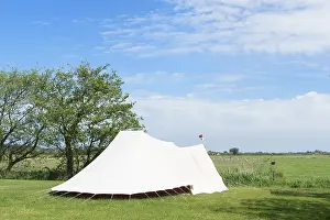 Landscape Camping with tent in meadows with sheeps