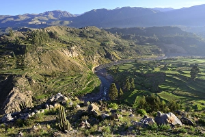 Category Mountain Landscapes Prints: Landscape at the canyon of the Rio Colca