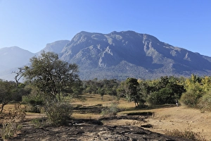 Landscape in the dry season in Mudumalai National Park
