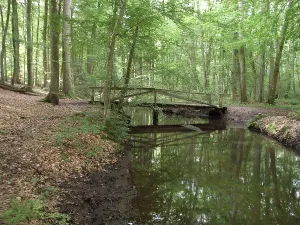 Landscape to eitzener brook in bienenbuettel germany