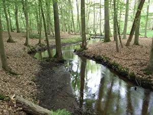 Landscape to eitzener brook in bienenbuettel germany