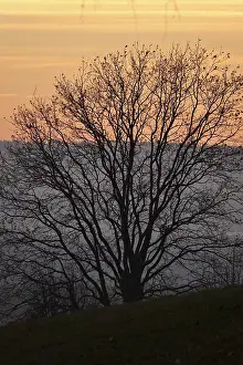 Landscape on an evening in autumn