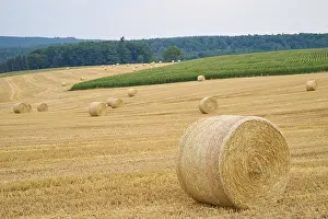 Landscape with hay field and straw bales