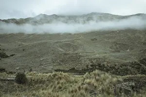 Landscape in the highlands, early morning fog