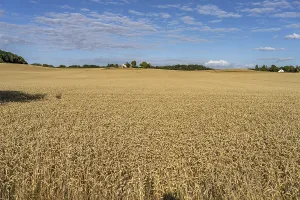 Landscape on the island of Moen, Denmark, Europe