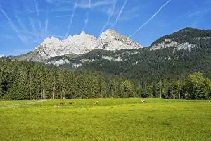 Landscape with the Kaiser Mountains in the alps of Austria