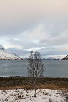 Landscape at Kaldfjorden, Troms, Norway, Europe