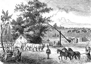 Landscape in the Kerskemeter Puszta