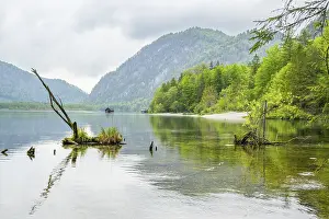 Landscape of Lake Almsee on a rainy day in spring