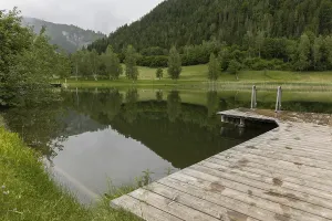 Landscape, lake, bathing area, Pongau