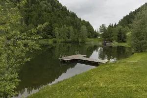 Landscape, lake, bathing area, Pongau