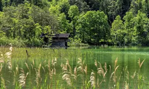 Landscape at Lake Thumsee, Bad Reichenhall
