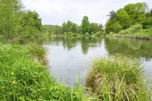 Landscape of a little lake on a cloudy day in spring
