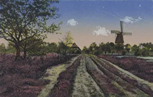 Landscape in the Lueneburg Heath with heather and a mill