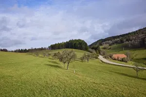 Landscape with meadow, bare trees