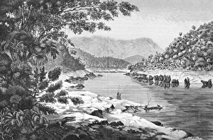 Landscape on the Mekong, river bank, mountain landscape, tropical vegetation, palm trees, crocodile, fruit, locals with boat, travelling in Southeast Asia, historical illustration 1887