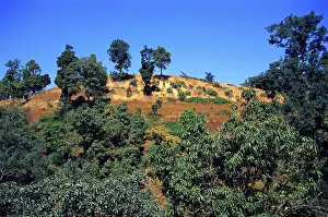 Landscape, Melghat, Amravati, Maharashtra, India
