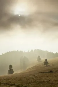 Landscape in the mist, Belchen