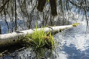 Landscape and nature around Berlin