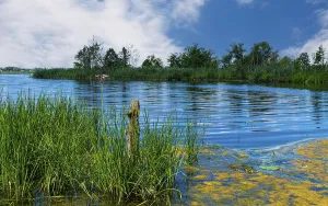 Landscape and nature around Berlin